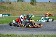 DSC_ (1411)